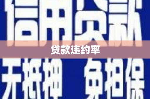 洛扎贷款违约率