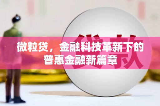 洛扎微粒贷，金融科技革新下的普惠金融新篇章