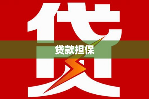 洛扎贷款担保