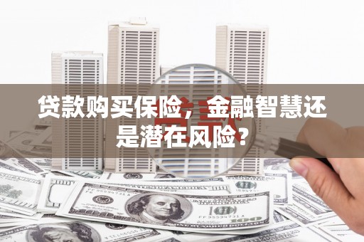 洛扎贷款购买保险，金融智慧还是潜在风险？