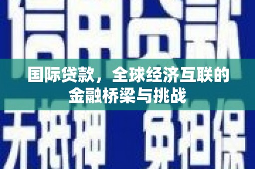 洛扎国际贷款，全球经济互联的金融桥梁与挑战