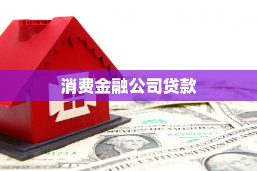 洛扎消费金融公司贷款