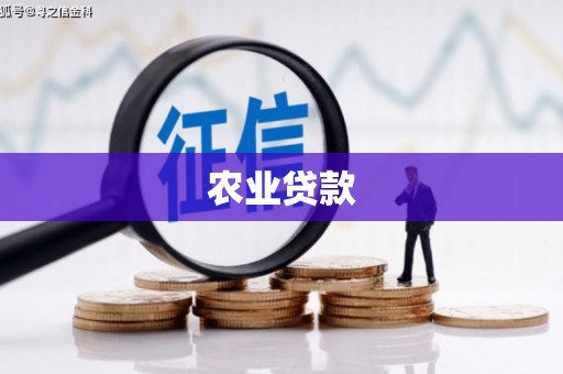 洛扎农业贷款