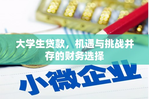 洛扎大学生贷款，机遇与挑战并存的财务选择