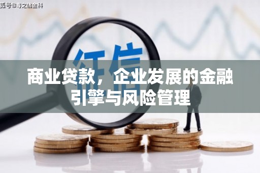 洛扎商业贷款，企业发展的金融引擎与风险管理