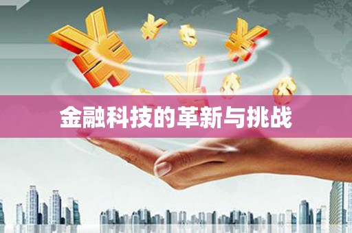 洛扎金融科技的革新与挑战