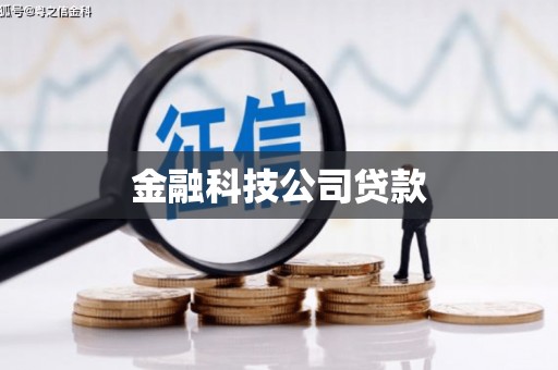 洛扎金融科技公司贷款
