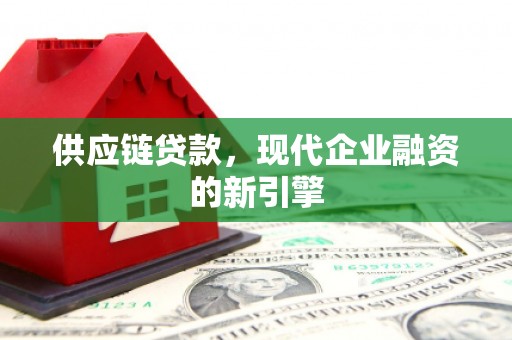 洛扎供应链贷款，现代企业融资的新引擎