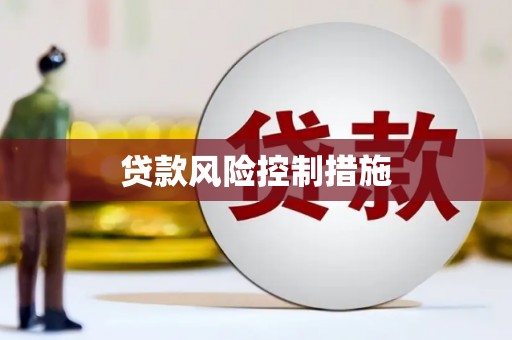 洛扎贷款风险控制措施
