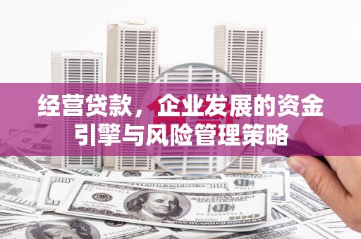 洛扎经营贷款，企业发展的资金引擎与风险管理策略