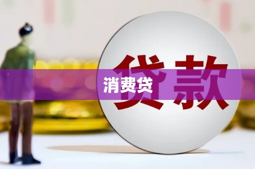 洛扎消费贷
