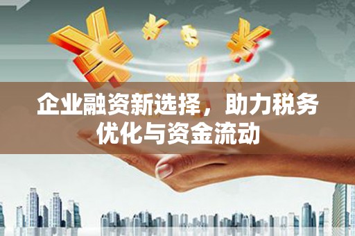 洛扎企业融资新选择，助力税务优化与资金流动