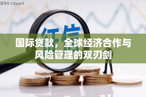 洛扎国际贷款，全球经济合作与风险管理的双刃剑