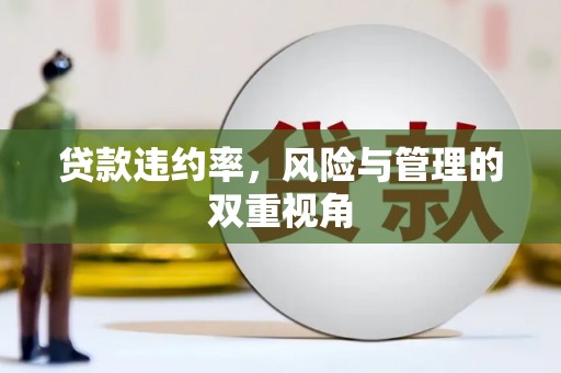 洛扎贷款违约率，风险与管理的双重视角