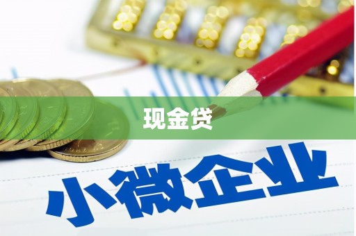 洛扎现金贷