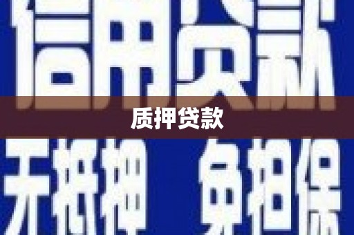 洛扎质押贷款