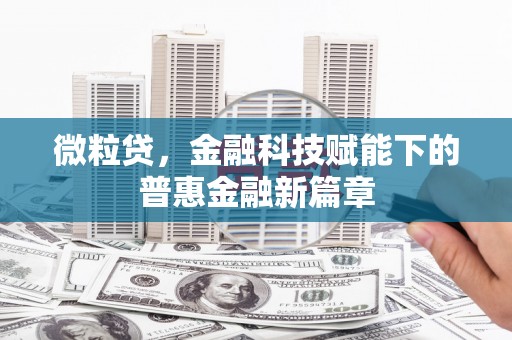 洛扎微粒贷，金融科技赋能下的普惠金融新篇章