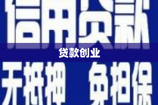 洛扎贷款创业