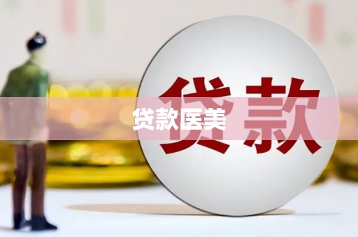 洛扎贷款医美