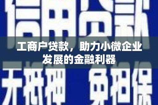 洛扎工商户贷款，助力小微企业发展的金融利器