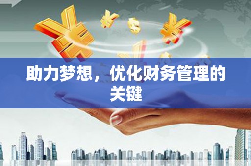 洛扎助力梦想,优化财务管理的关键 洛扎助力梦想,优化财务管理的关键