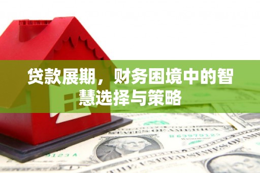 洛扎贷款展期，财务困境中的智慧选择与策略