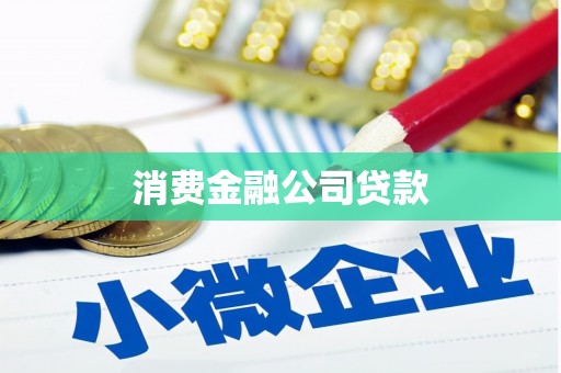 洛扎消费金融公司贷款