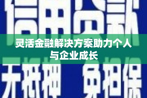 洛扎灵活金融解决方案助力个人与企业成长