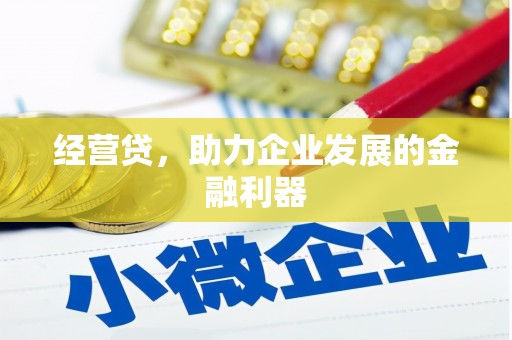 洛扎经营贷，助力企业发展的金融利器