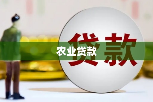 洛扎农业贷款