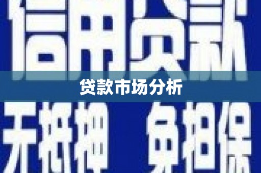 洛扎贷款市场分析
