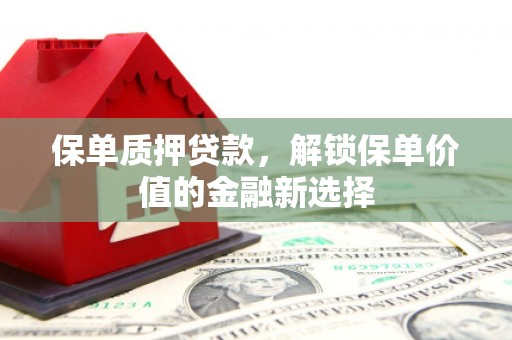 洛扎保单质押贷款，解锁保单价值的金融新选择