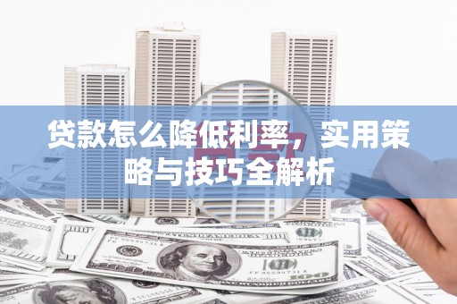 洛扎贷款怎么降低利率，实用策略与技巧全解析