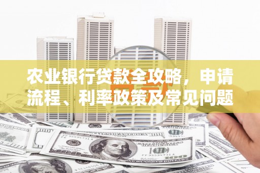 洛扎农业银行贷款全攻略，申请流程、利率政策及常见问题解析