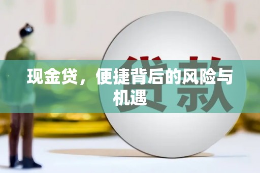 洛扎现金贷，便捷背后的风险与机遇