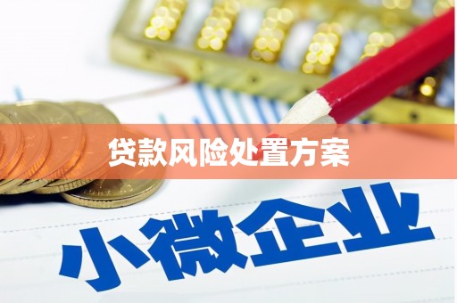 洛扎贷款风险处置方案