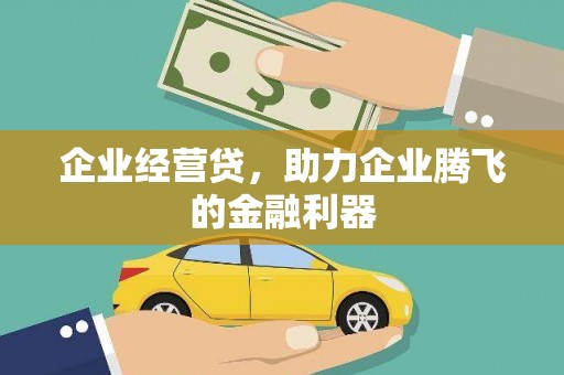 洛扎企业经营贷，助力企业腾飞的金融利器