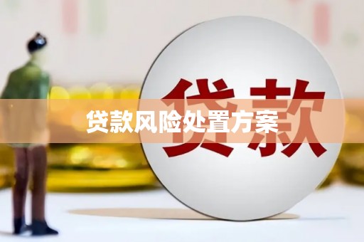 洛扎贷款风险处置方案