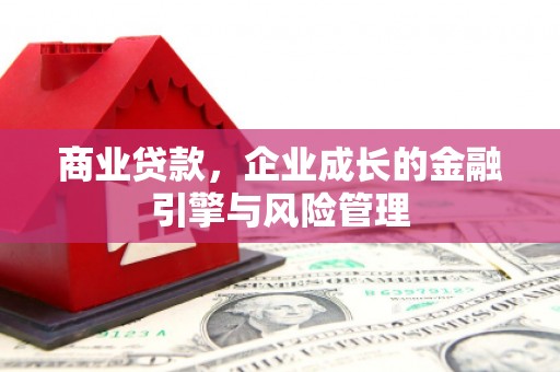 洛扎商业贷款，企业成长的金融引擎与风险管理