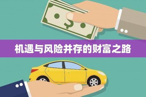 洛扎机遇与风险并存的财富之路