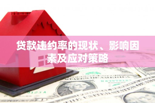 洛扎贷款违约率的现状、影响因素及应对策略