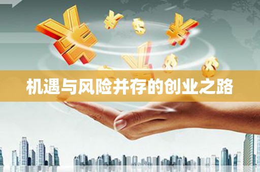 洛扎机遇与风险并存的创业之路