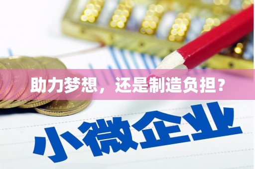 洛扎助力梦想，还是制造负担？