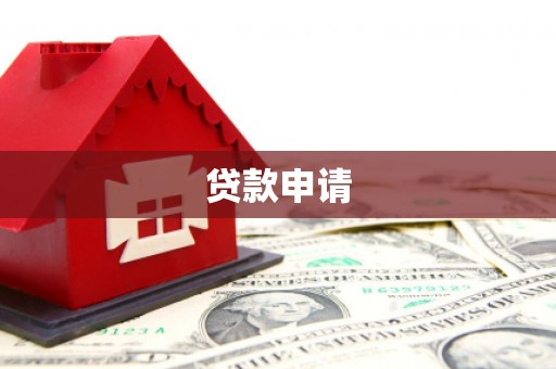 洛扎贷款申请