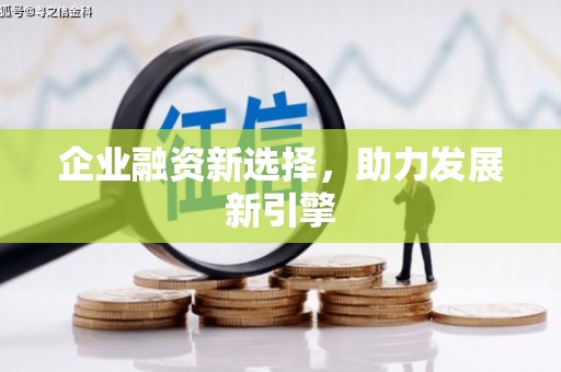 洛扎企业融资新选择，助力发展新引擎