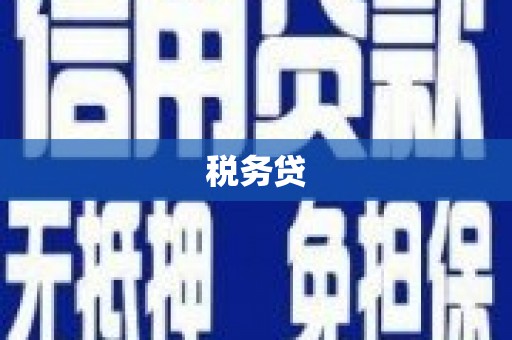 洛扎税务贷