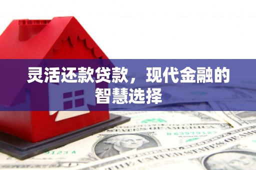 洛扎灵活还款贷款，现代金融的智慧选择