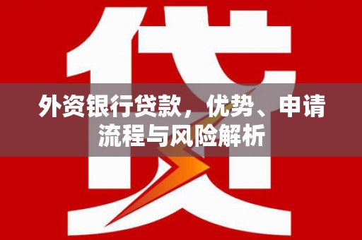 洛扎外资银行贷款，优势、申请流程与风险解析