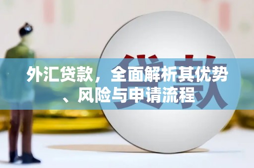 洛扎外汇贷款，全面解析其优势、风险与申请流程