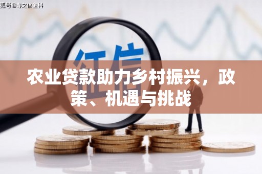 洛扎农业贷款助力乡村振兴，政策、机遇与挑战